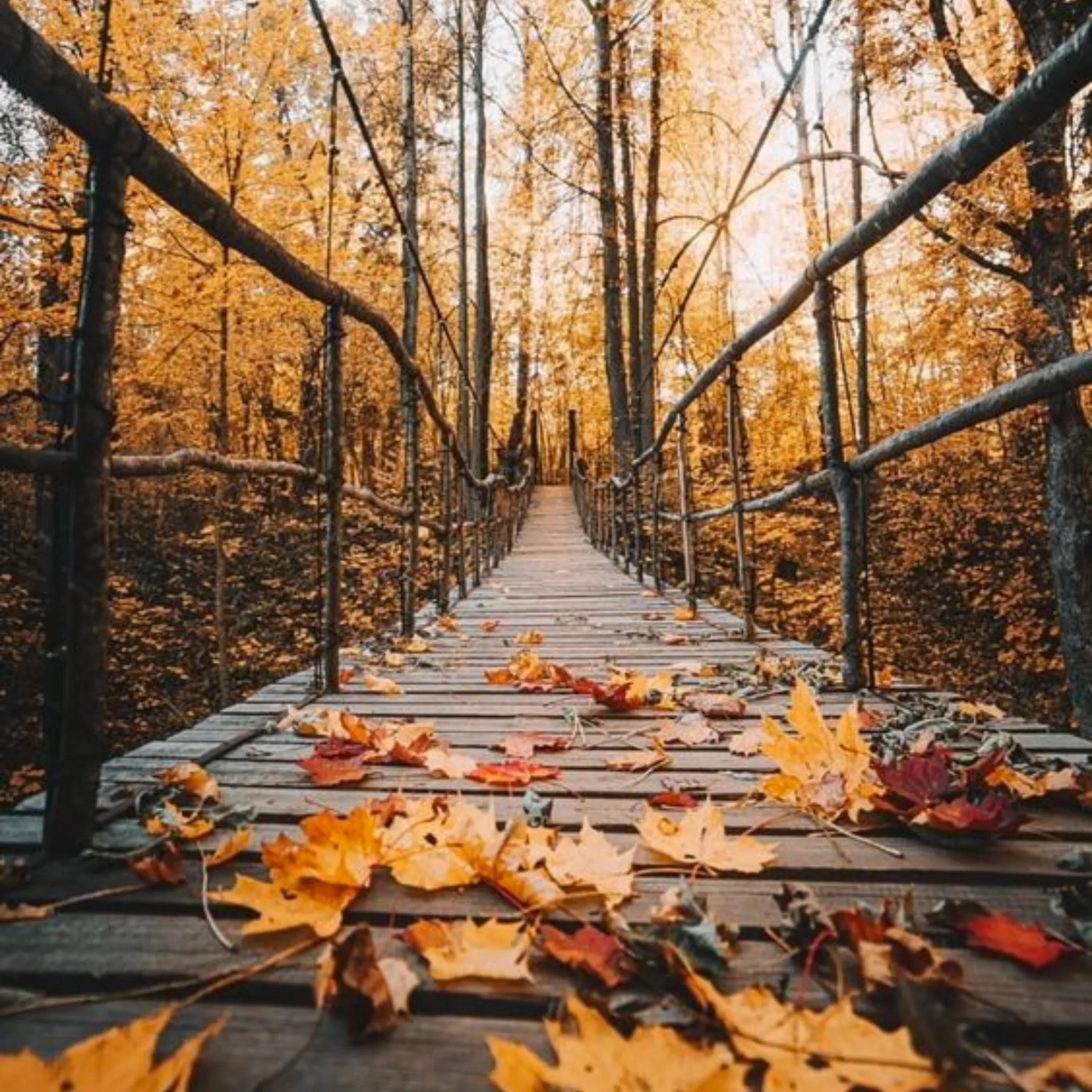 Autumn Day by Wicked Good Perfume