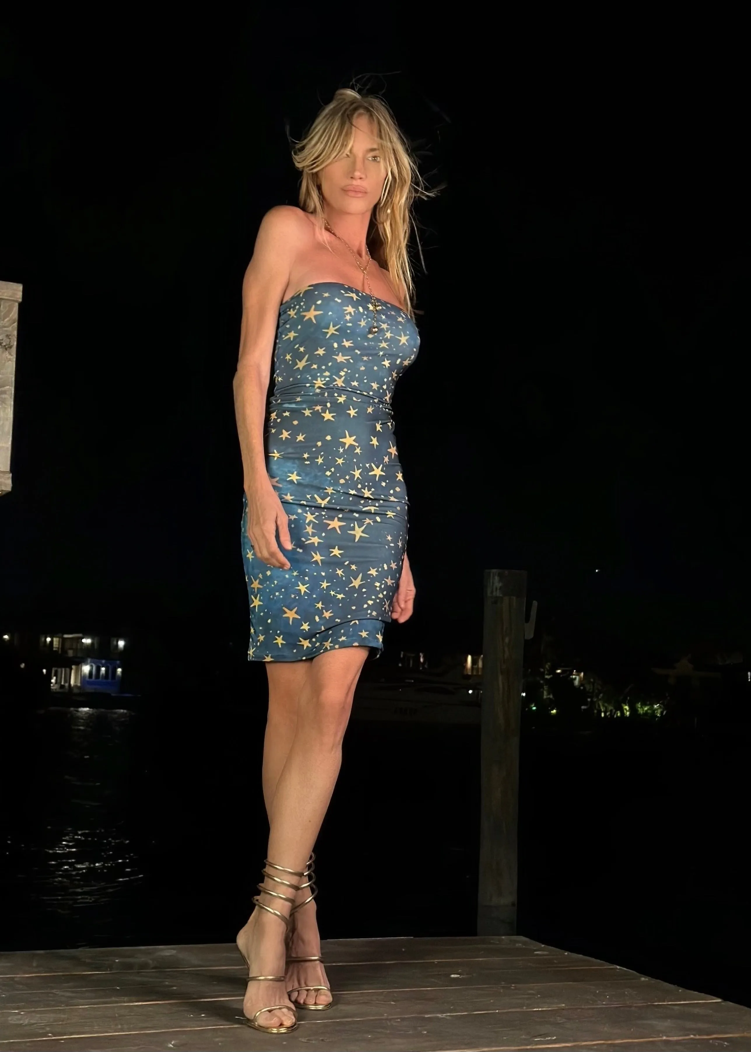 Pamela Strapless Dress Reach for the Stars