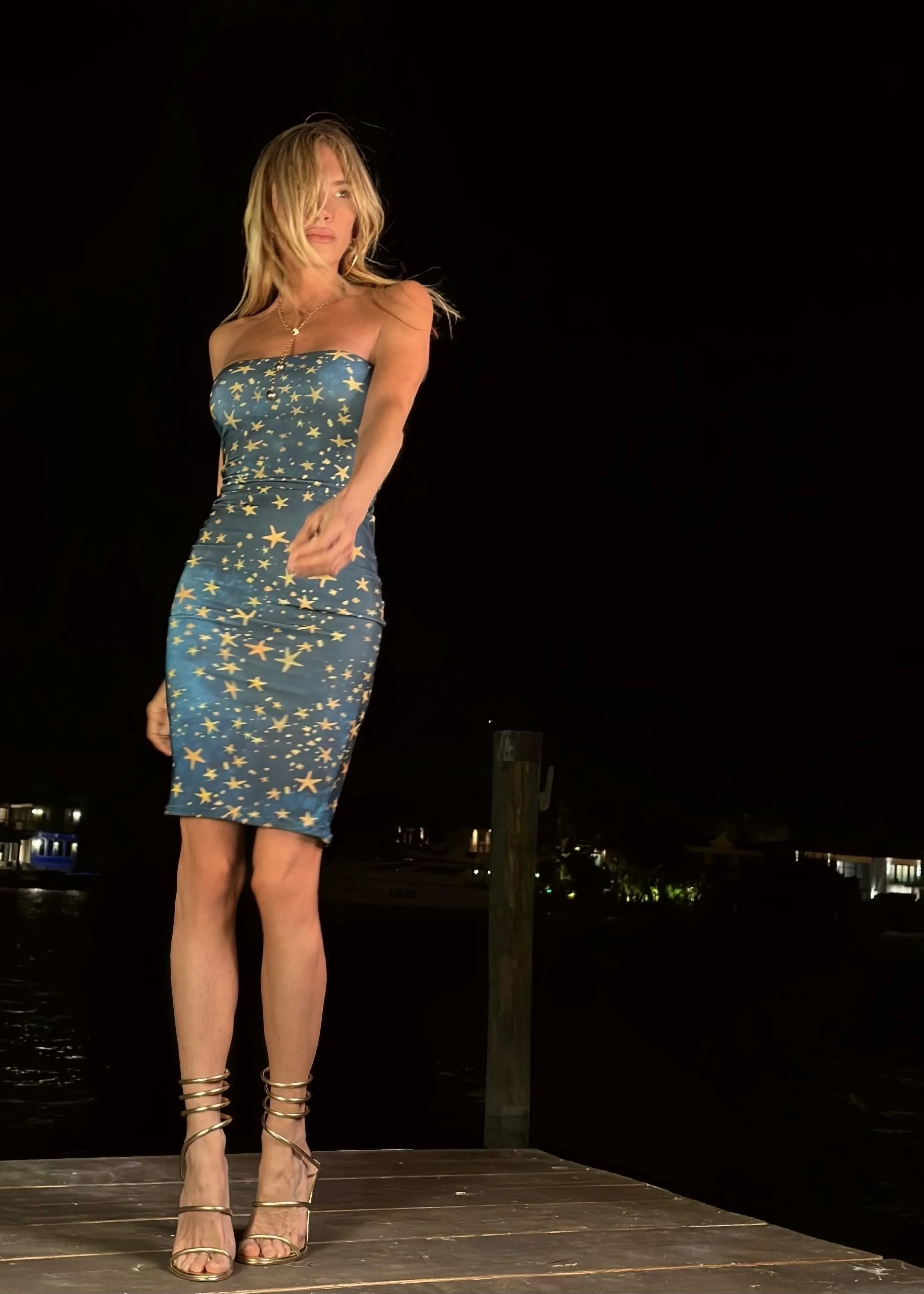 Pamela Strapless Dress Reach for the Stars